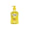 Cameo Anti-Bacterial Exotic Fruits Hand Soap 500ML