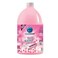 Cleanova Multipurpose Rose 3.7L