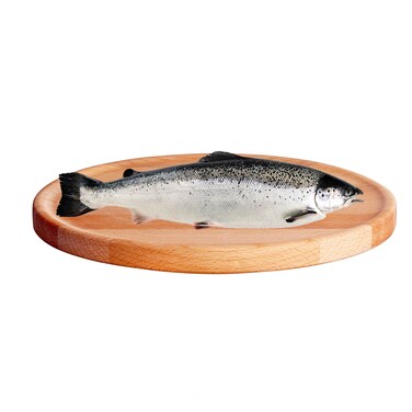Norwegian Salmon