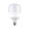Led Complete Lamp 30W Nominal T100