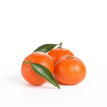 Clementine Xl