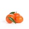Clementine Xl
