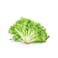 Lettuce Franjeh