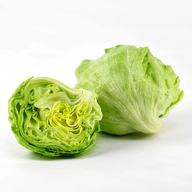 Lettuce Iceberg