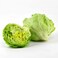Lettuce Iceberg