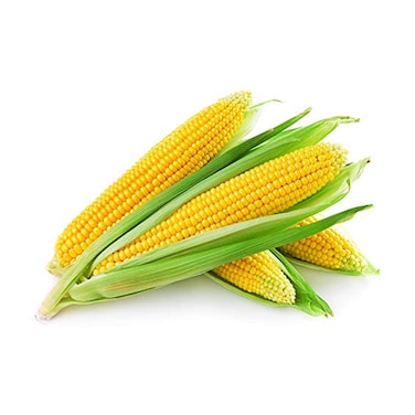 Sweet Corn