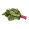 Swiss Chard