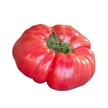 Tomato Mountain