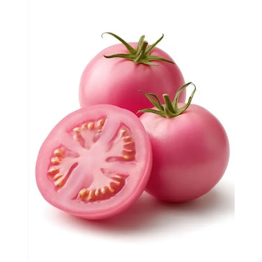 Tomato Rose