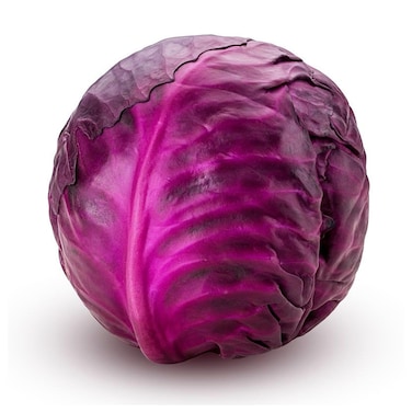 Cabbage Red