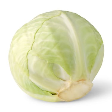 Cabbage White