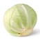 Cabbage White