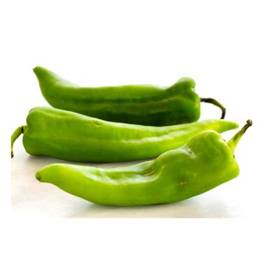 Capsicum Long Green