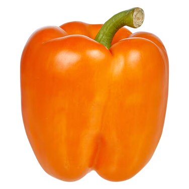 Capsicum Orange
