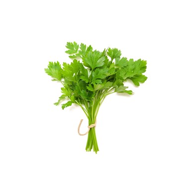 Coriander