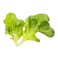 Oak Leaf Green