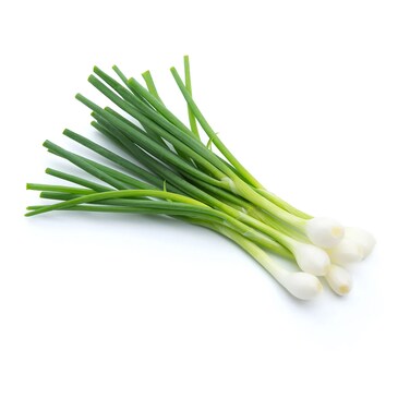 Onion Spring