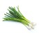 Onion Spring