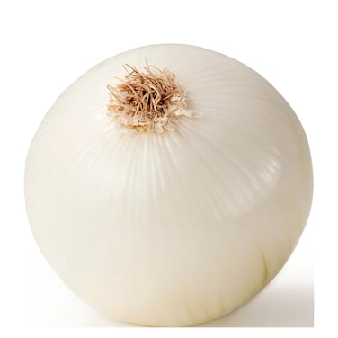 Onion White