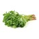 Purslane