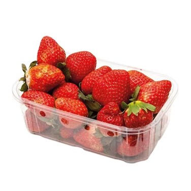 Strawberry Medium Pack Extra