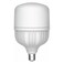 Led Complete Lamp - 40 Watt Nominal