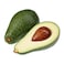 Avocado 