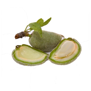Almond Ferek