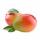 Mango Import Extra