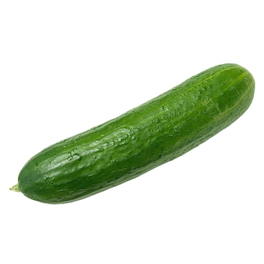 Cucumber Solairy