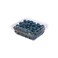 Blue Berries Pack