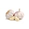 Garlic Filet Big