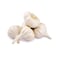 Garlic Local