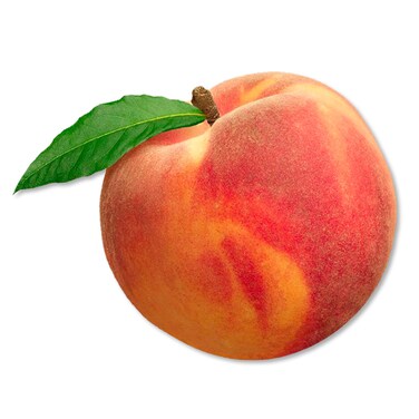 Peach Rose