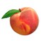 Peach Rose