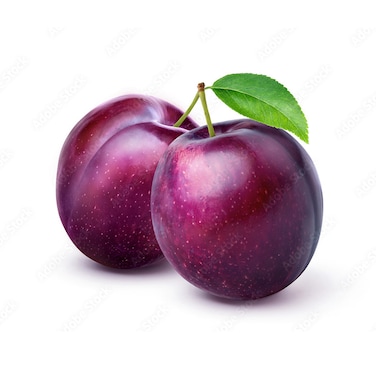 Plum Angolina