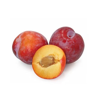 Plum Jawhara