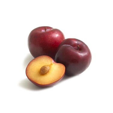 Plum Marimosa