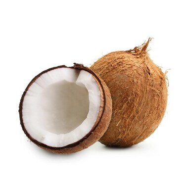 Coconut Fresh