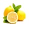 Lemon Import