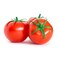 Tomato Bekaa