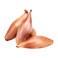 Onion  Salamoune