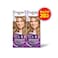 Palette Intensive Hair Color Cream With Liquid Keratin 10-46 Powdery Blonde 50MLX2