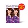 Palette Intensive Hair Color Cream With Liquid Keratin 6-80 Marsala Brown 50MLX2
