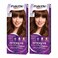 Palette Intensive Hair Color Cream With Liquid Keratin 5-68 Middle chestnut 50MLX2