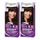 Palette Intensive Hair Color Cream With Liquid Keratin 4-60 Lustrous middle brown 50MLX2