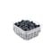 Berries Blue Pack Imported