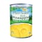 Plein Soleil Pineapple Sliced 565GR