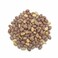 Demian Peanuts Salted