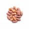 Demian Peanuts Soudani
